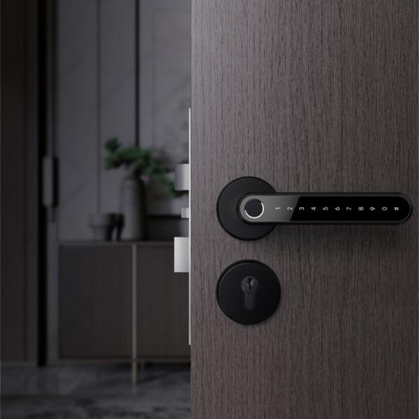 N33B Smart Handle Lock